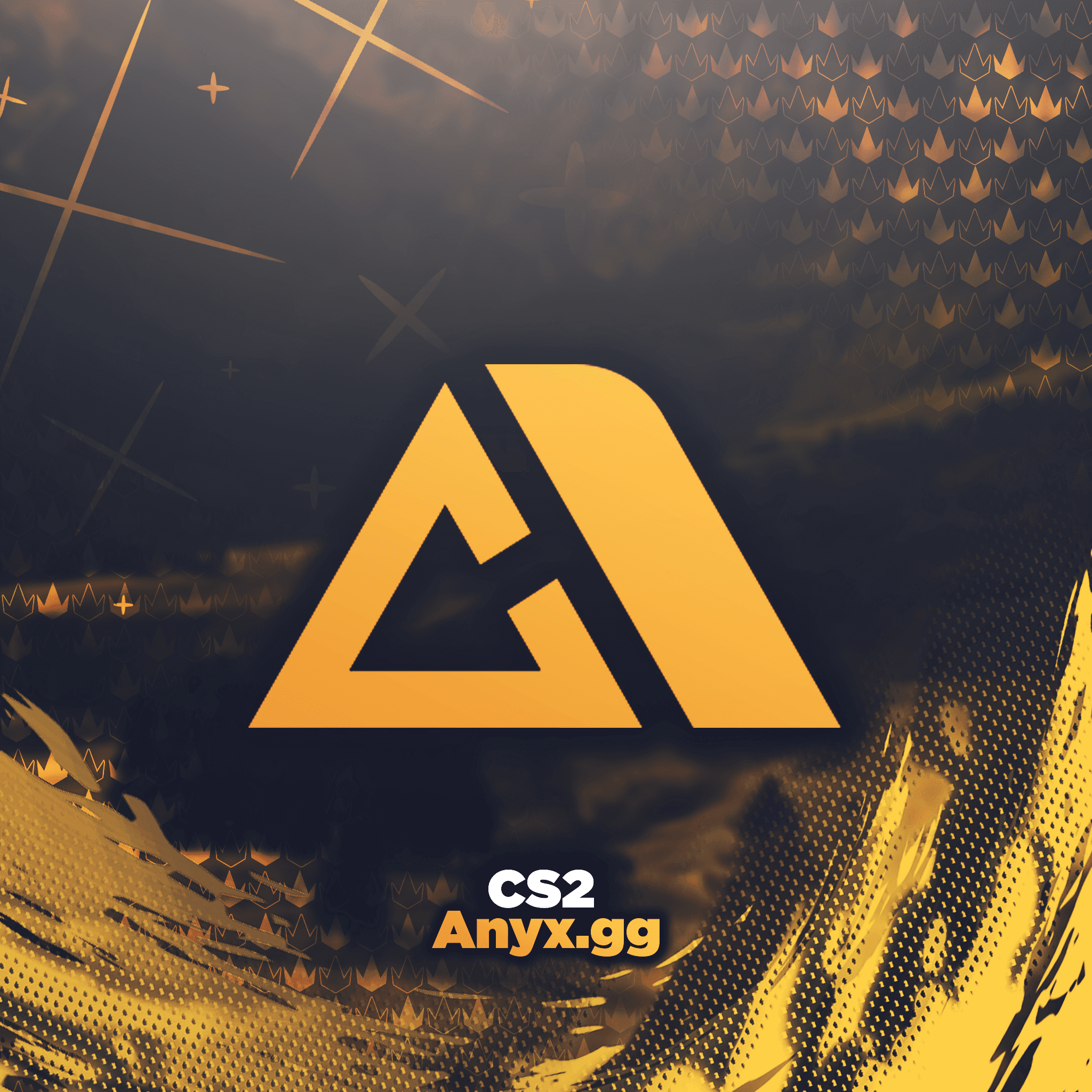 Anyx.gg Premium - CS2