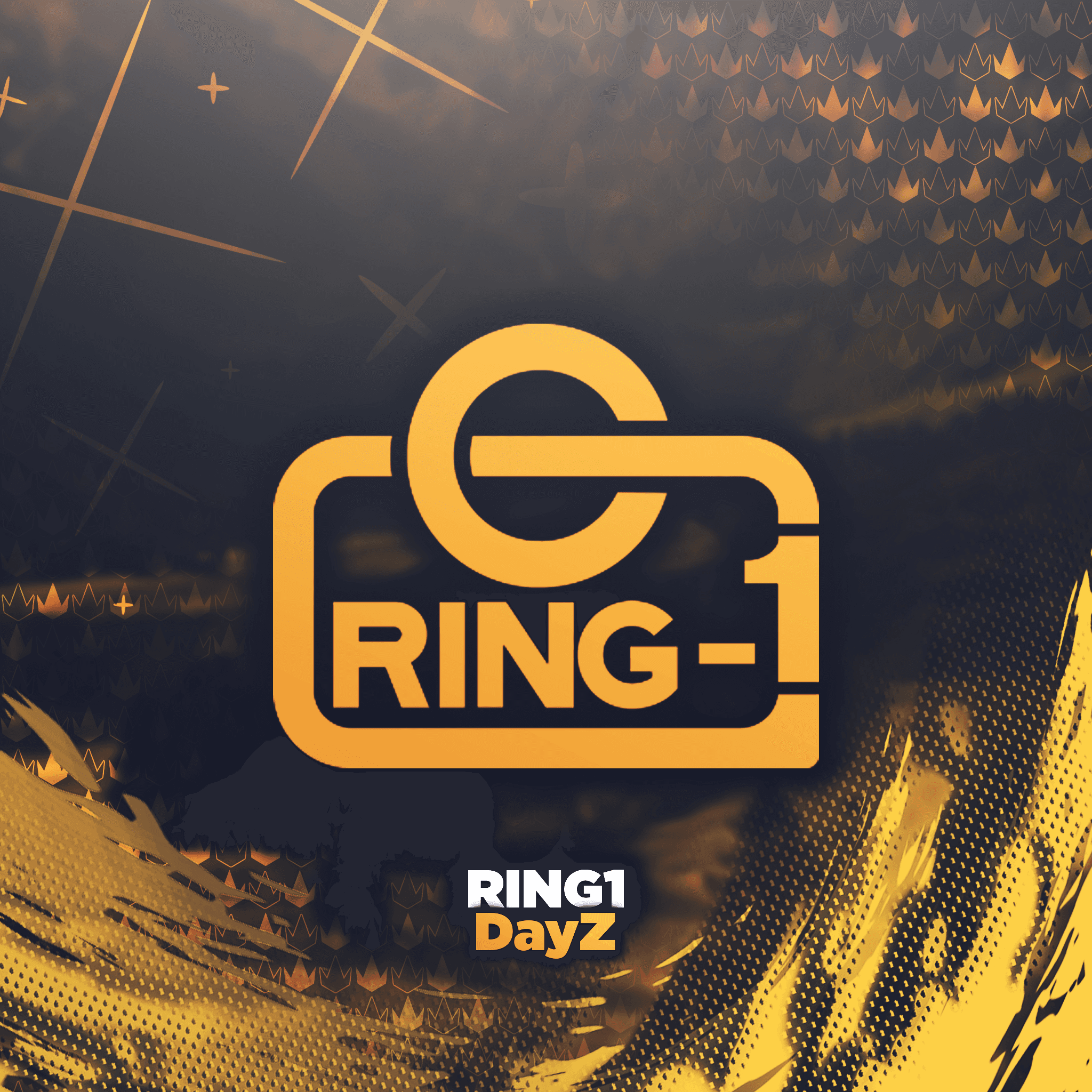 Ring-1 - Dayz Softwares